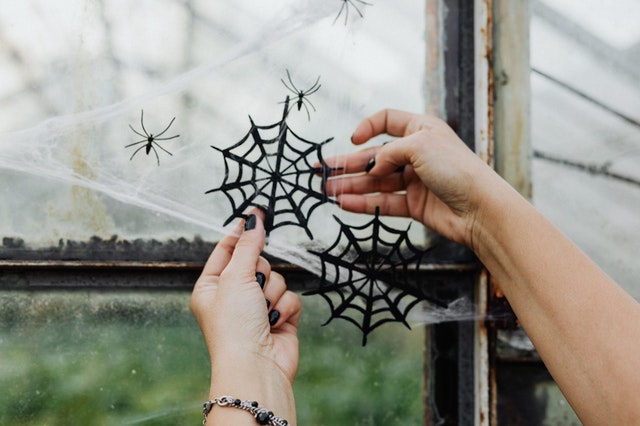 Personne installant de la déco d'Halloween, des toiles d'araignée et araignées en plastique.